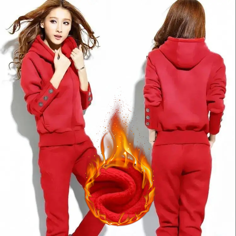 Winter 2 Pieces Sets Hooded Pl - Street Fashion Korean avaliação e preço